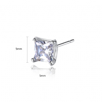 Bridal-jewelry-Cubic-Zircon-Earrings-E1387