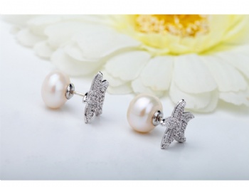 Bridal-jewelry-Cubic-Zircon-Earrings-E1564